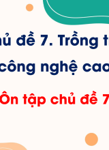 CN Trồng trọt - Ôn tập chủ đề 7. Trồng trọt công nghệ cao
